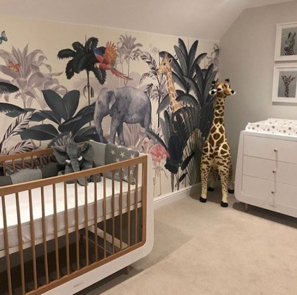 Jungle Wallpaper Mural - Munks and Me Wallpaper