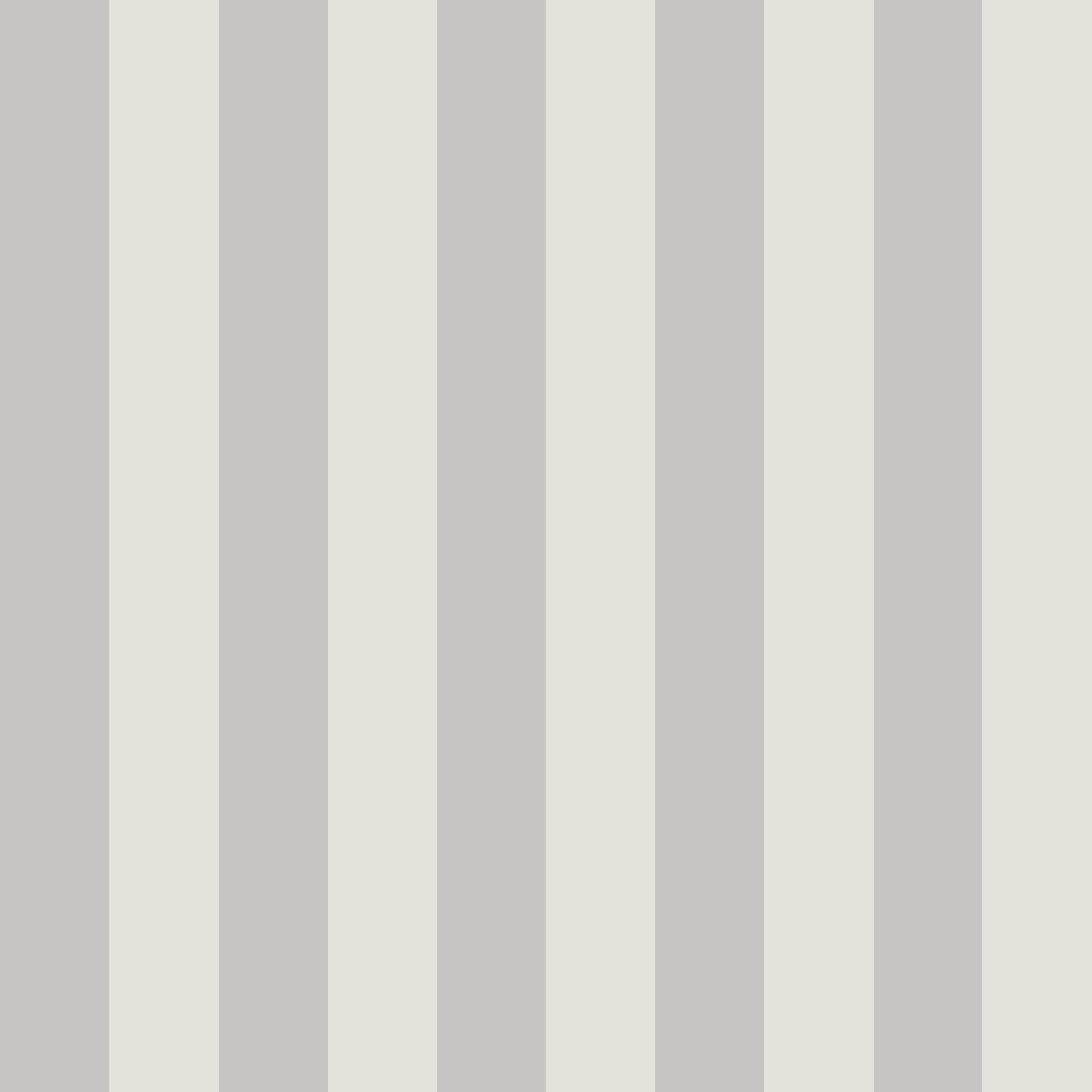 Circus Stripe Wallpaper Stone