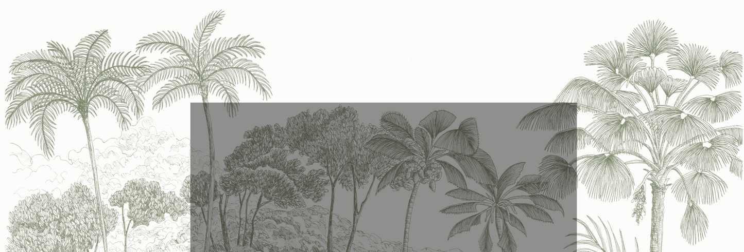 Custom Pistachio Jungle Palm Wallpaper - Munks and Me Wallpaper