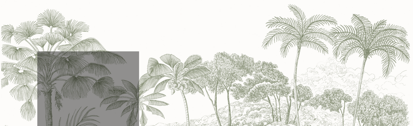 Custom Pistachio Jungle Palm Wallpaper - Munks and Me Wallpaper